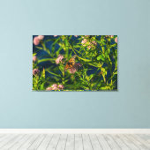 （昆虫）オオカバマダラ、モナークとミルクウィード キャンバスプリント (インサイチュ (ウッドフロア))