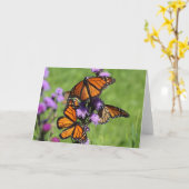 （昆虫）オオカバマダラ、モナークのトリオ カード (黄色い花)