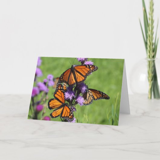 （昆虫）オオカバマダラ、モナークのトリオ カード (正面)