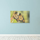 （昆虫）オオカバマダラ、モナークのペアButterflys Photography Canvas A キャンバスプリント (インサイチュ (ウッドフロア))