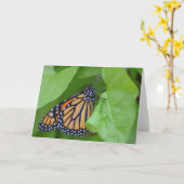 （昆虫）オオカバマダラ、モナークのメッセージカード カード (黄色い花)