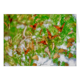 （昆虫）オオカバマダラ、モナークのモンタージュ