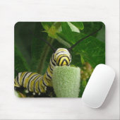 (昆虫)オオカバマダラ、モナークの幼虫のmousepad マウスパッド (マウス)