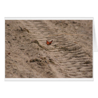 （昆虫）オオカバマダラ、モナークの空白のなカード