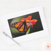 （昆虫）オオカバマダラ、モナークの蝶がメキシコのヒマワリ松明 長方形シール (封筒)