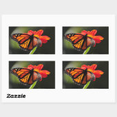 （昆虫）オオカバマダラ、モナークの蝶がメキシコのヒマワリ松明 長方形シール (シート)