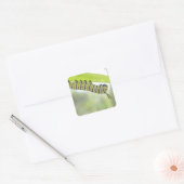 (昆虫)オオカバマダラ、モナークの蝶の毛虫がミクサギを探検する スクエアシール (封筒)