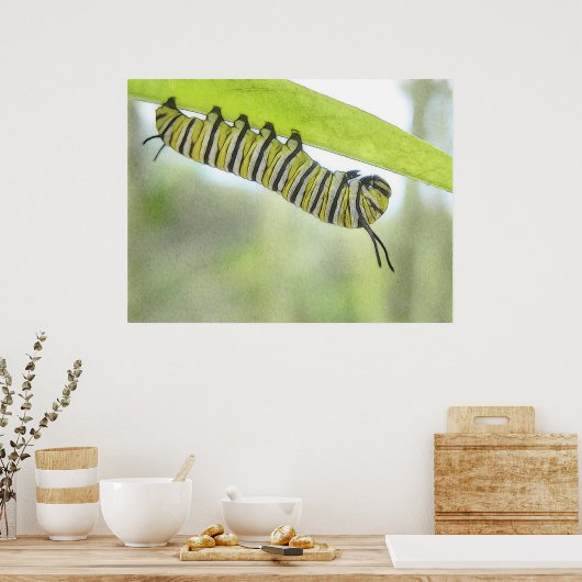 （昆虫）オオカバマダラ、モナークの蝶の毛虫がミクサギを探検する ポスター (キッチン)