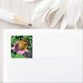 （昆虫）オオカバマダラ、モナークの蝶 ラベル (インサイチュ)