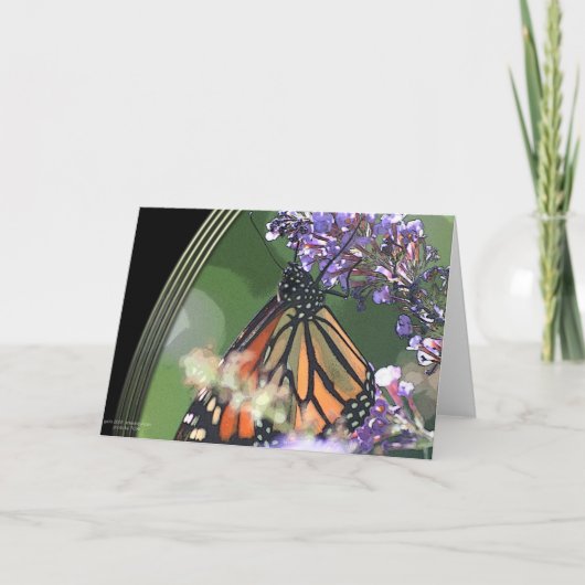 (昆虫)オオカバマダラ、モナークの視野 シーズンカード (正面)