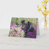 （昆虫）オオカバマダラ、モナークはカードを望みます カード (黄色い花)