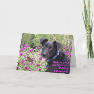 （昆虫）オオカバマダラ、モナークはカードを望みます カード