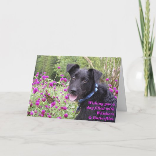 （昆虫）オオカバマダラ、モナークはカードを望みます カード (正面)