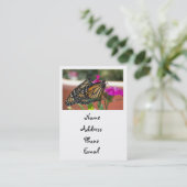 (昆虫)オオカバマダラ、モナークは#1ビジネスカードを結び付けます 名刺 (スタンド正面)