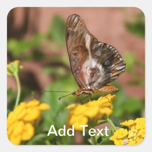 (昆虫)オオカバマダラ、モナークウイング – 犬と蝶のステッカー スクエアシール (正面)