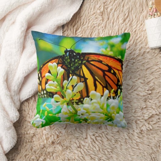 （昆虫）オオカバマダラ、モナークオレンジバタフライ写真白はっきりした花 クッション (ブランケット)