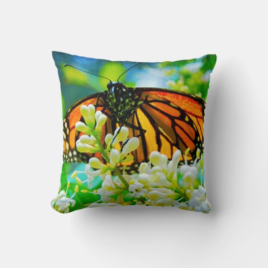 （昆虫）オオカバマダラ、モナークオレンジバタフライ写真白はっきりした花 クッション (正面)