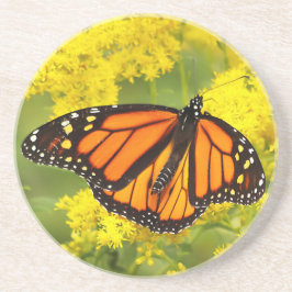 （昆虫）オオカバマダラ、モナークオンゴルデンロッド コースター