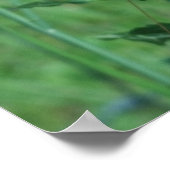 (昆虫)オオカバマダラ、モナークオンバタフライウィードプリント ポスター (角)