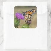 （昆虫）オオカバマダラ、モナークオンパスチュアティスルプレーリーリッジ スクエアシール (バッグ)