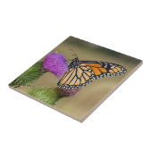 （昆虫）オオカバマダラ、モナークオンパスチュアティスルプレーリーリッジ タイル (側面)