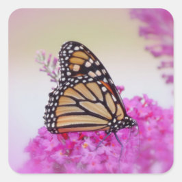 （昆虫）オオカバマダラ、モナークオンピンク – 蝶 スクエアシール