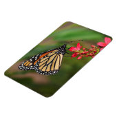 （昆虫）オオカバマダラ、モナークオンペンタ花マグネット マグネット (左側)