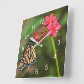 （昆虫）オオカバマダラ、モナークオンペンタ花 スクエア壁時計 (傾斜)