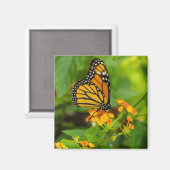 (昆虫)オオカバマダラ、モナークオンランタナ マグネット (正面/裏面)