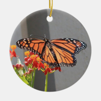 （昆虫）オオカバマダラ、モナークオーナメント セラミックオーナメント