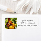 （昆虫）オオカバマダラ、モナークカラフルバタフライパーソナライズされた、 ラベル (インサイチュ)