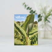 （昆虫）オオカバマダラ、モナークキャタピラーオンミルクウィード葉書 ポストカード (スタンド正面)