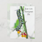 （昆虫）オオカバマダラ、モナークキャタピラーバレンタインハガキ シーズンポストカード (正面/裏面)