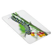 (昆虫)オオカバマダラ、モナークキャタピラーフレキシブルマグネット マグネット (右側)