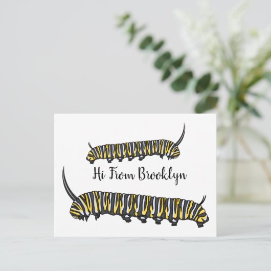 (昆虫)オオカバマダラ、モナークキャタピラ漫画イラストレーション ポストカード (スタンド正面)