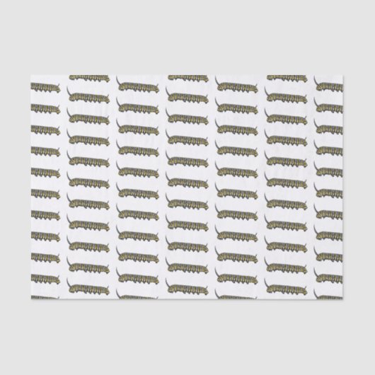 （昆虫）オオカバマダラ、モナークキャタピラ漫画イラストレーション 薄葉紙 (正面)