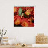 (昆虫)オオカバマダラ、モナーククリサリス ポスター (キッチン)