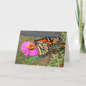 （昆虫）オオカバマダラ、モナークスピッピンク《植物》百日草、カ空白のード カード (正面)