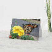 (昆虫)オオカバマダラ、モナークスピッピングイエロー《植物》百日草、カ空白のード カード (正面)