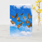 (昆虫)オオカバマダラ、モナークチョウ カード (黄色い花)