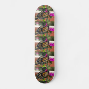 (昆虫)オオカバマダラ、モナークツイン#1-skateboard スケートボード