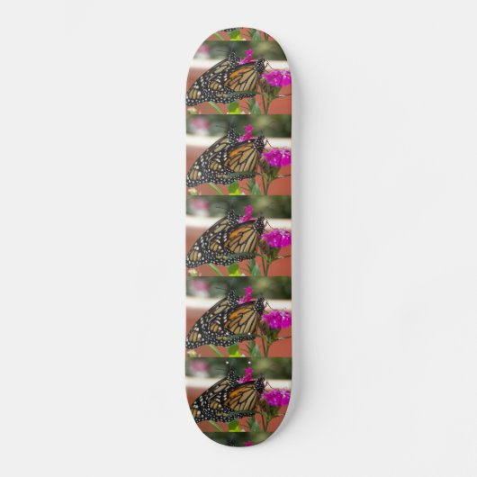 (昆虫)オオカバマダラ、モナークツイン#1-skateboard スケートボード (正面)