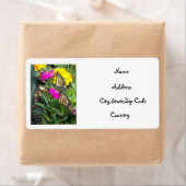 （昆虫）オオカバマダラ、モナークツイン#2-addressラベル ラベル (インサイチュ)