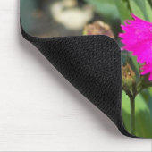 （昆虫）オオカバマダラ、モナークツイン#2-mousepad マウスパッド (コーナー)