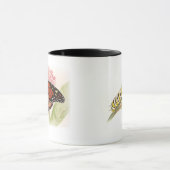 (昆虫)オオカバマダラ、モナークバタフライアンドキャタピラーマグ マグカップ (中央)