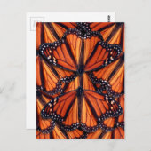 （昆虫）オオカバマダラ、モナークバタフライアートポストカード ポストカード (正面/裏面)