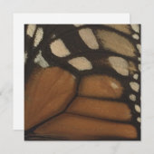 （昆虫）オオカバマダラ、モナークバタフライウィングクローズアップ シーズンカード (正面/裏面)