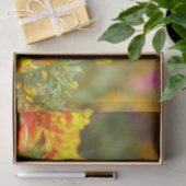 （昆虫）オオカバマダラ、モナークバタフライオレンジマリゴールド写真 薄葉紙 (ギフト)