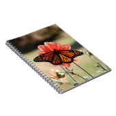 (昆虫)オオカバマダラ、モナークバタフライオンアダリア空白の ノートブック (右側)