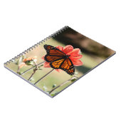 (昆虫)オオカバマダラ、モナークバタフライオンアダリア空白の ノートブック (左側)